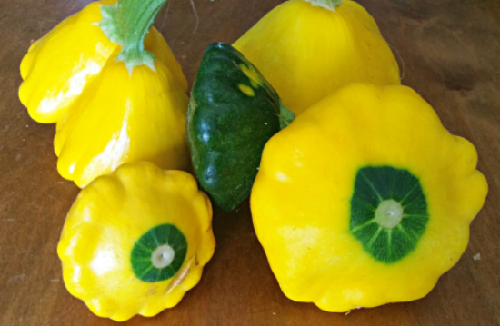 PattyPan.